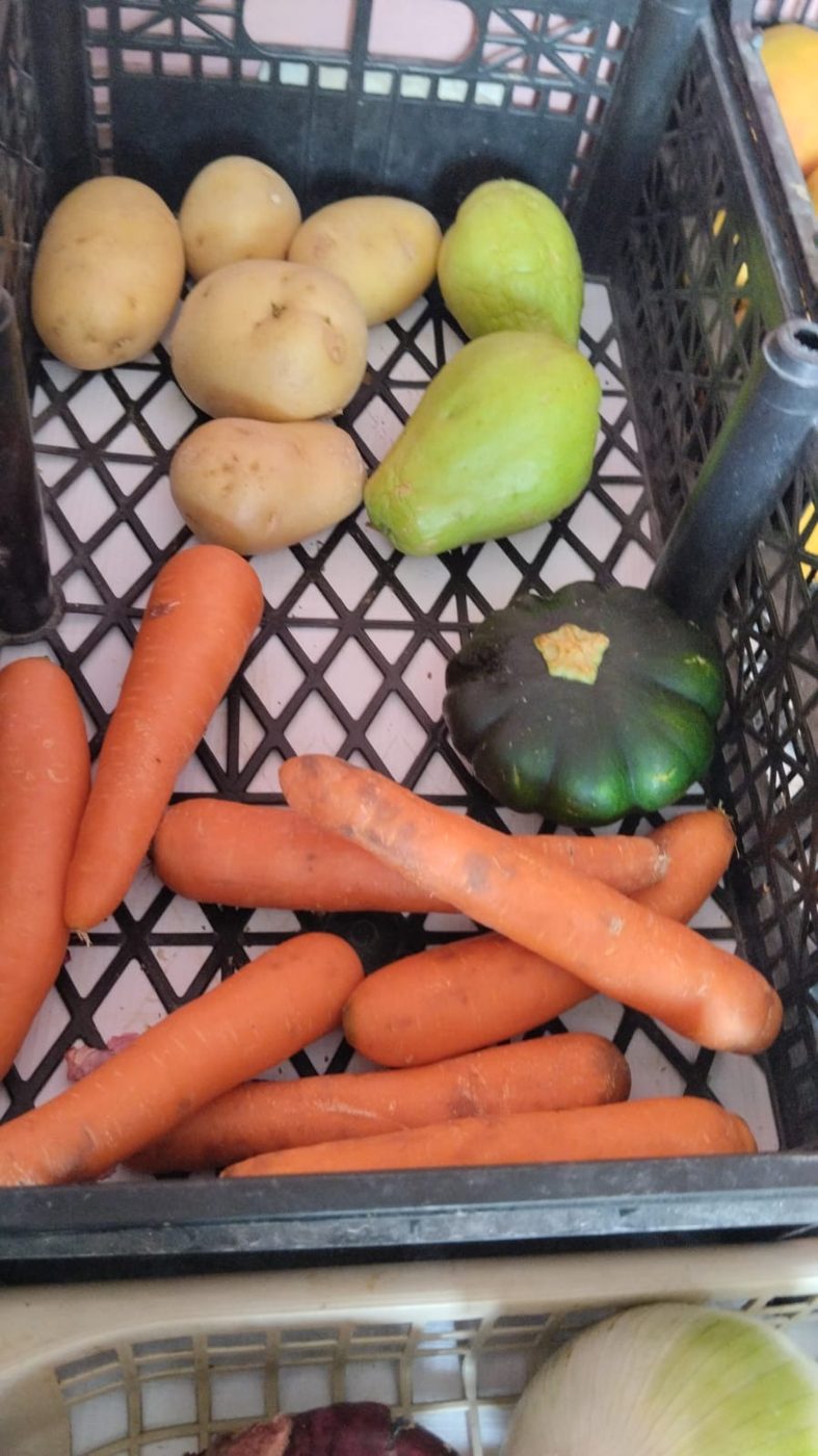 Verduras variadas en caja